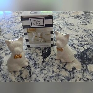 Salt and pepper shakers